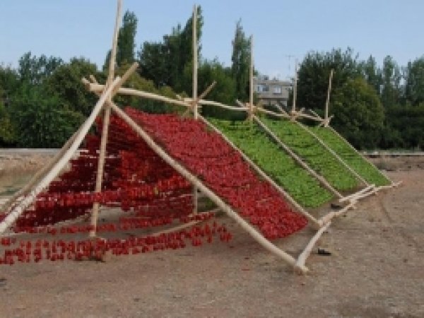 Gaziantep'te Kurutmalık Sezonu 