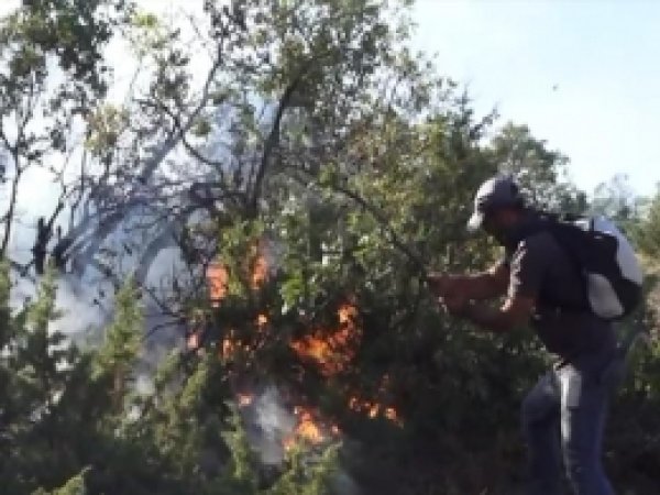 Genç İlçesinin Suveran Kırsalı Alevlere Teslim 