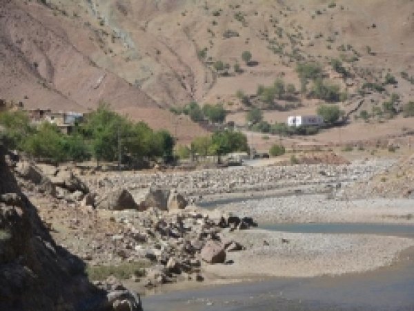Bilinçsiz Avlanma Balık Neslini Yok Ediyor 