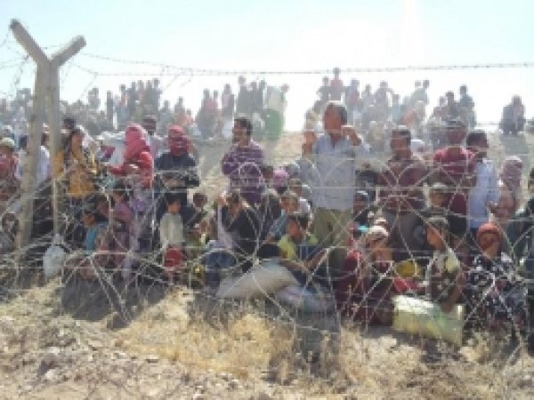 Kobanîliler Türkiye'ye Gelmeye Başladı 