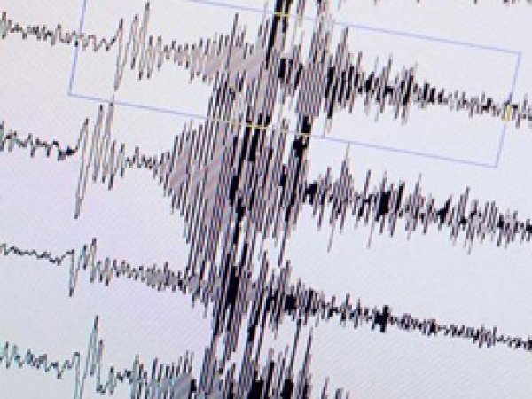 Kemaliye'de 4.3 Büyüklüğünde Deprem