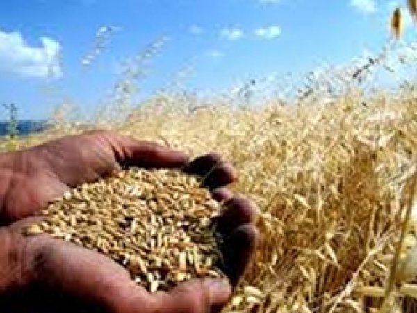 Tarım sigortalarının kapsamı genişliyor
