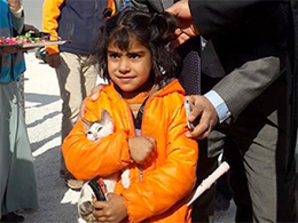 Her Şeyini Bıraktı Ama Kedisini Bırakmadı 