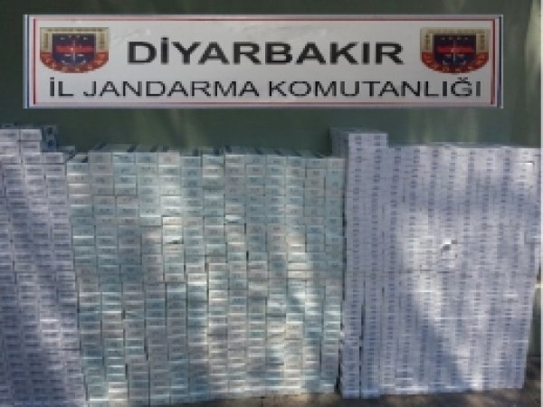81 bin paket kaçak sigara ele geçirildi