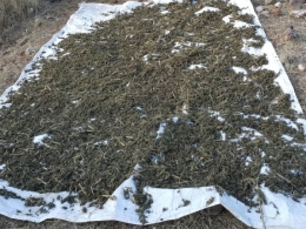 Diyarbakır'da 550 kilo esrar ele geçirildi