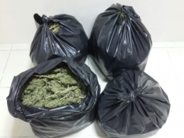 Batman'da 22 kilo esrar ele geçirildi