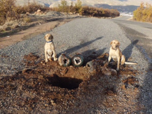 Bingöl'de yola yerleştirilen 2 bomba imha edildi