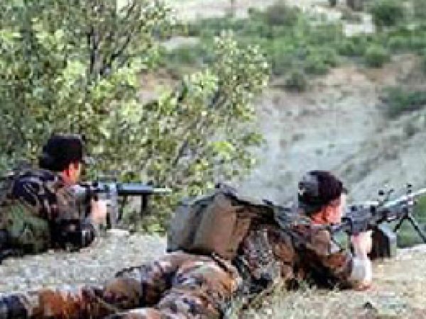 Şırnak'ta 11 PKK'li öldürüldü