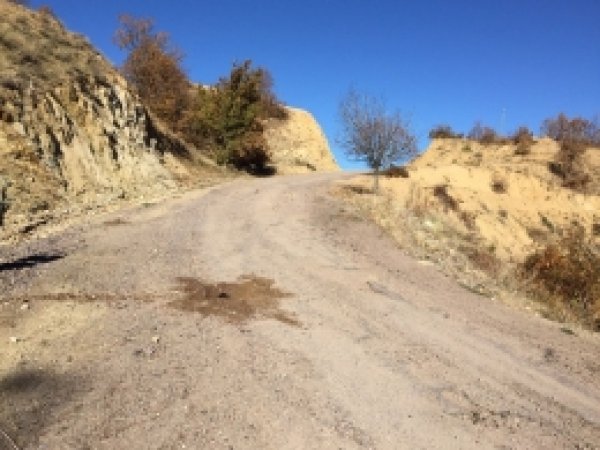 Bingöl'de köy yoluna döşenen bomba  imha edildi