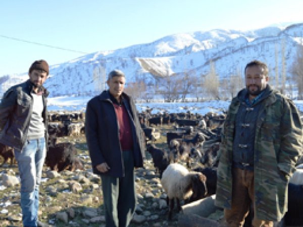 Hayvanları telef olan köylüler yardım bekliyor