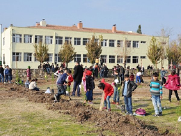 Ortaokulda fidan dikim etkinliği yapıldı