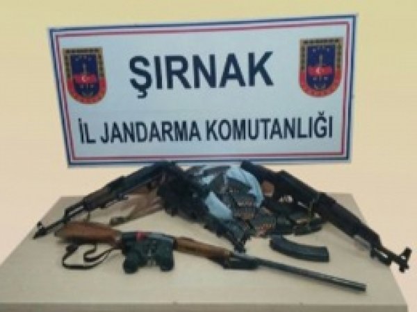 Şırnak'ta PKK'ye silah götüren 2 kişi yakalandı
