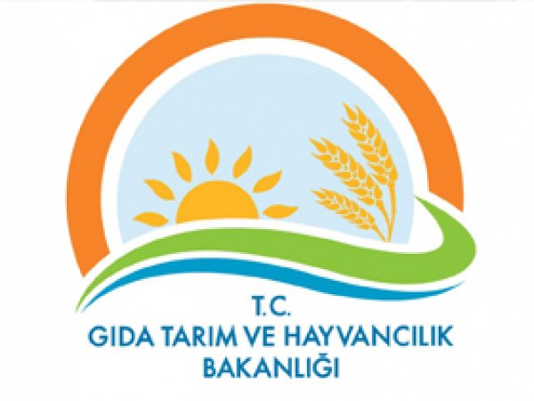 120 balıkçı gemisinin ruhsatı iptal edildi