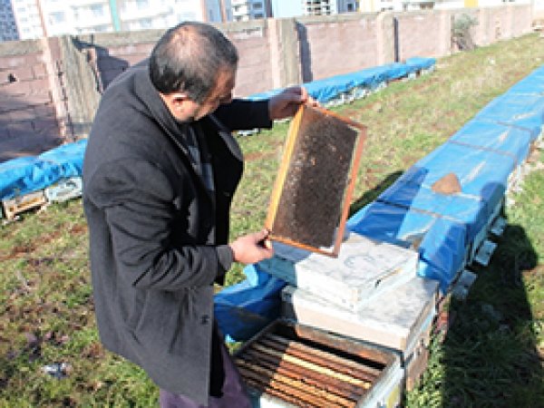 'Sahte bala dikkat edilmelidir'