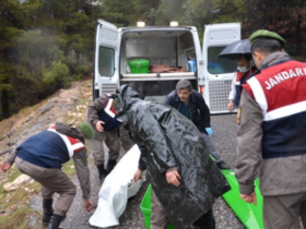 Üniversiteli kızın katil  zanlıları yakalandı