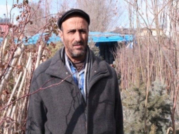 Fidan satışı hareketliliği başlıyor