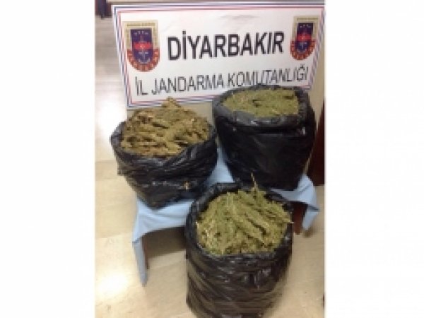 Diyarbakır'da esrar baskını