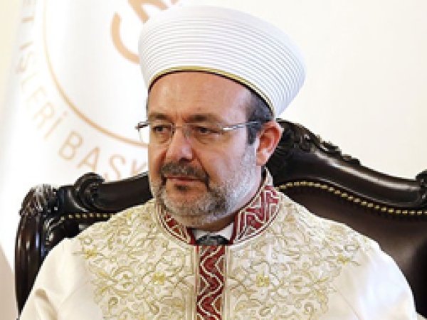 'Ülkeye özgü bir İslam oluşturma çabası olamaz'