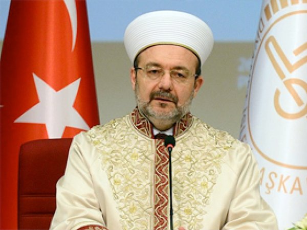 Görmez: 'İslam Yasası' Avusturya'ya yakışmadı