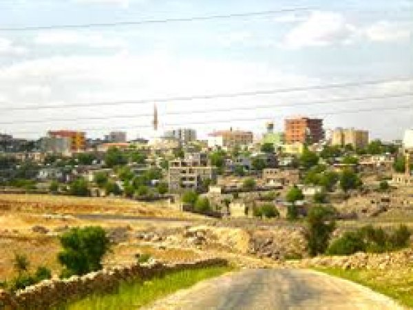 Yol kenarında ölü bebek bulundu