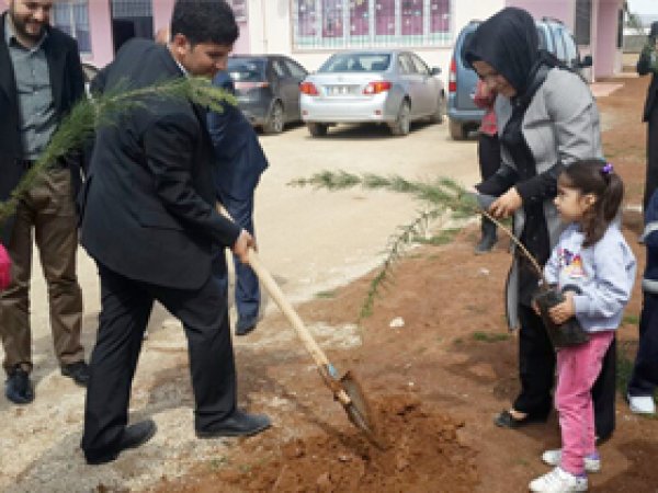 'Bu dünyada bir dikili ağacınız olsun'