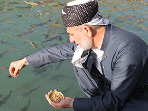 Alimler Peygamberler şehrini gezdi