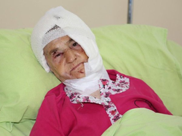 92 yaşındaki yaşlı kadına ayı saldırdı