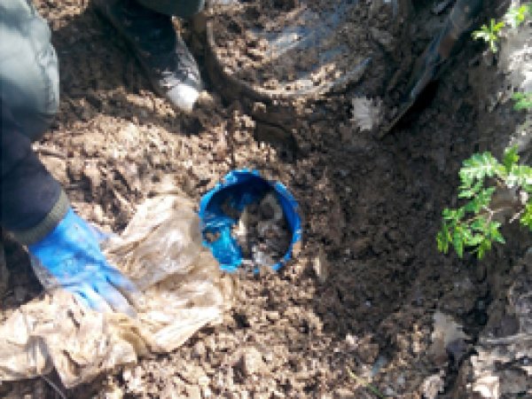 Bitlis’te 130 kilogramlık patlayıcı imha edildi