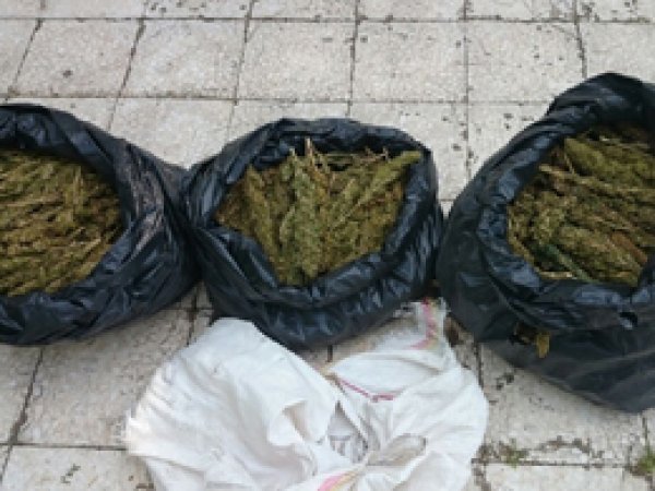 Yaralı halde kaçmaya çalışan esrar satıcıları yakalandı