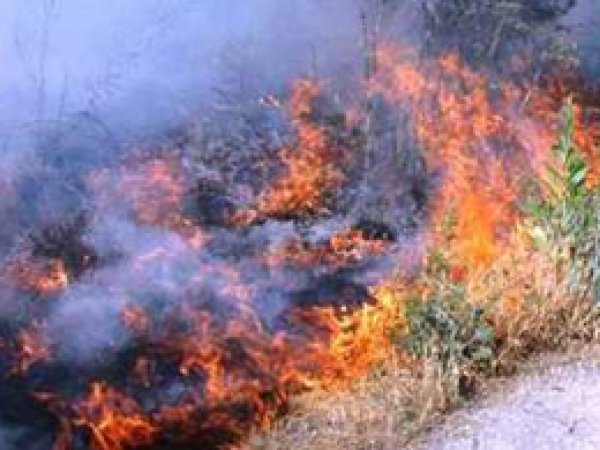 Van'daki yangın kontrol altına alınamıyor