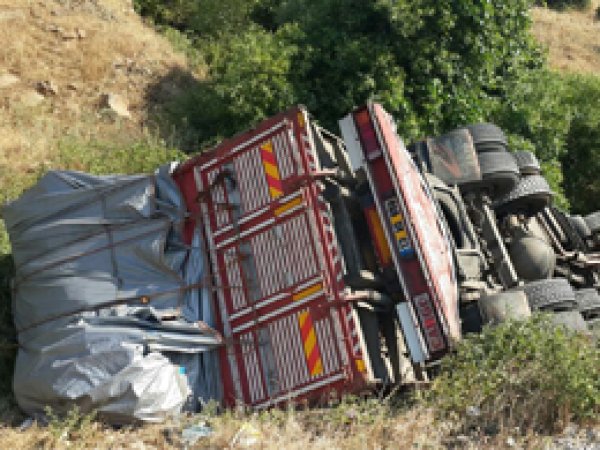 Sürüden kaçan kamyon şarampole yuvarlandı