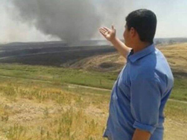 Kızıltepe’de yangın bin dekar buğdayı kül etti