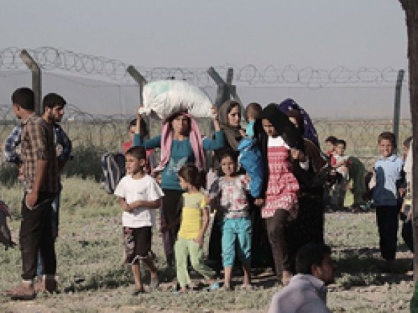 800 Suriyeli Türkiye'ye giriş yaptı