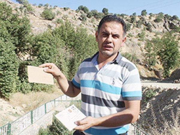 Yeşilli'de 8 bin 500 ağaç katledildi