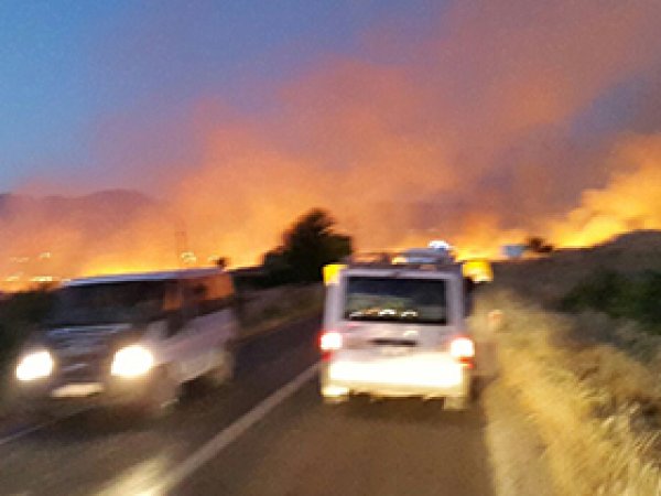 Diyarbakır-Bingöl yolunda orman yangını