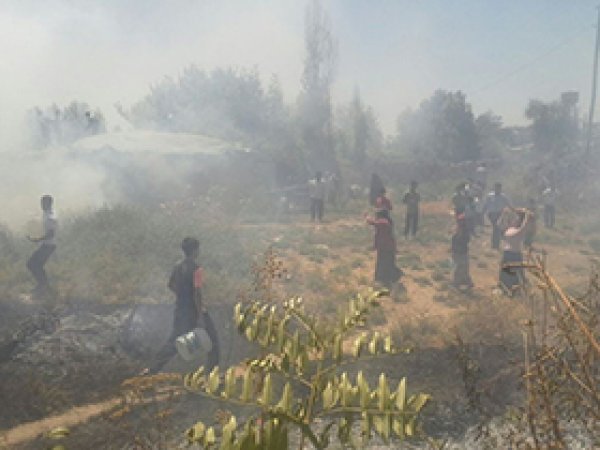 Torpil 4 ailenin meyve bahçesini yaktı
