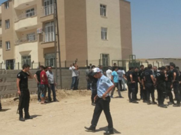 Ceylanpınar'daki polis cinayetiyle ilgili 3 kişi tutuklandı
