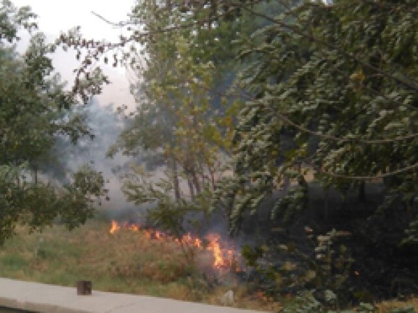 Rüzgardan kopan elektrik telleri yangına neden oldu