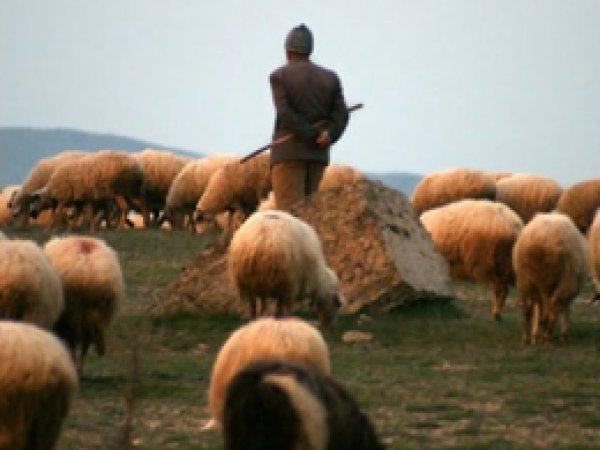 30 saat uyuyan çoban köyü ayağa kaldırdı