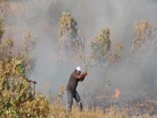Bagok Dağı’ndaki yangın giderek büyüyor