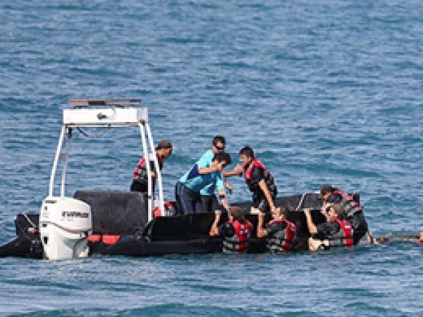 Ege'de 4 günde 2 bin 631 kaçak kurtarıldı
