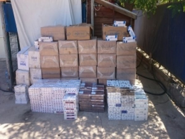 Sigara kaçakçılarına 300 personelle 7 ilde operasyon  