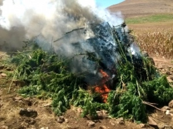Diyarbakır'da çok miktarda uyuşturucu ele geçirildi