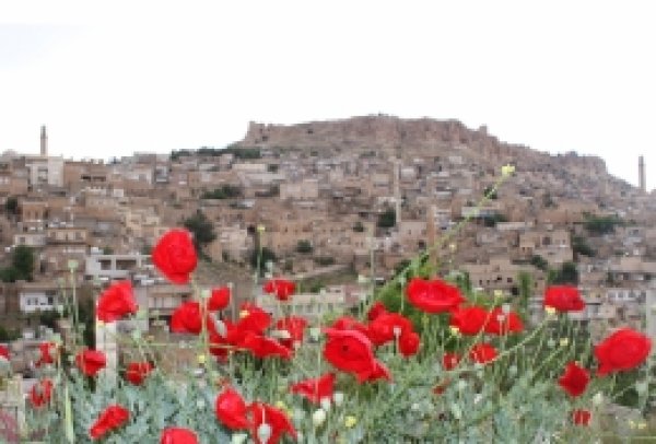 "Olaylarda en fazla zarar görenler Kürtlerdir"