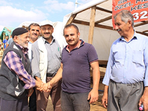 İzmit'te kurban pazarı hareketlendi