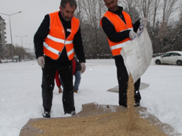 Elazığ'da sokak hayvanları unutulmadı