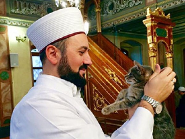 Kedilerin dostu imam