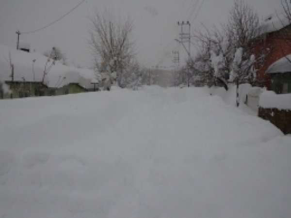 Bitlis'te tek katlı evler kara gömüldü