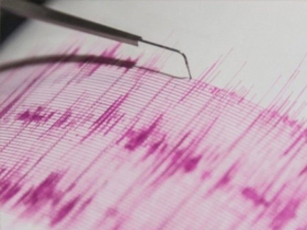 Bitlis'te 4.2 büyüklüğünde deprem