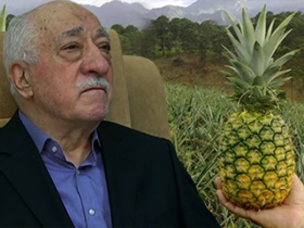 Gülen'in Ananas mesajının sırı belli oldu